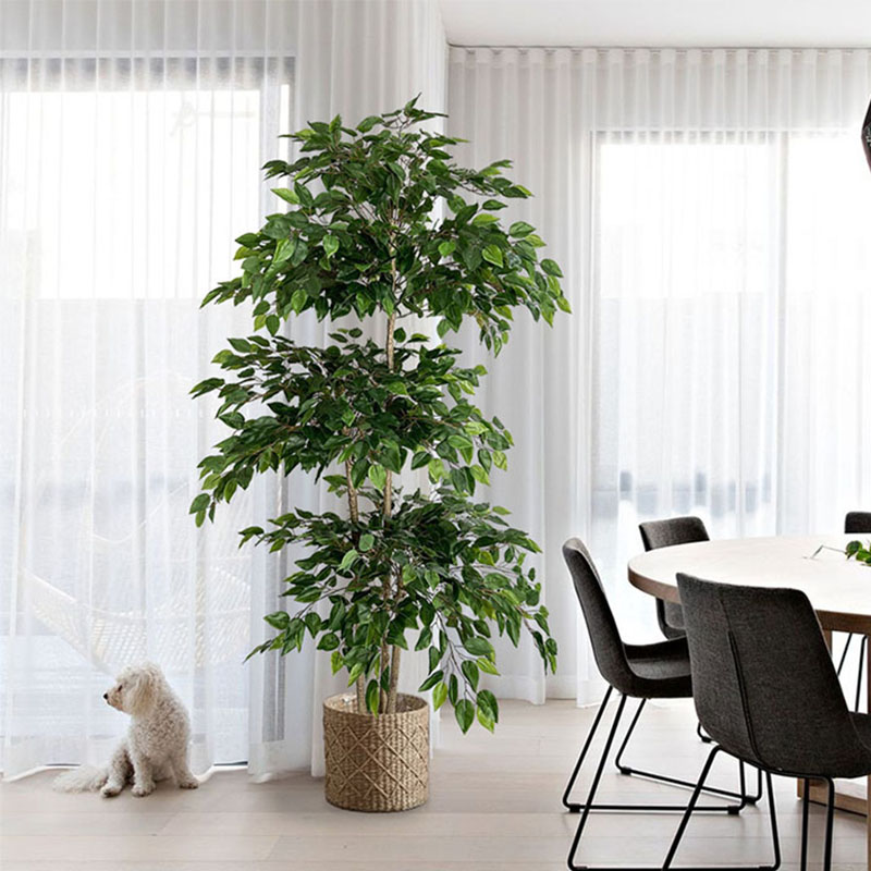 Ficus Lyrata Tree - Ficus Artificial Grandes Plantas Tropicais, Folhas