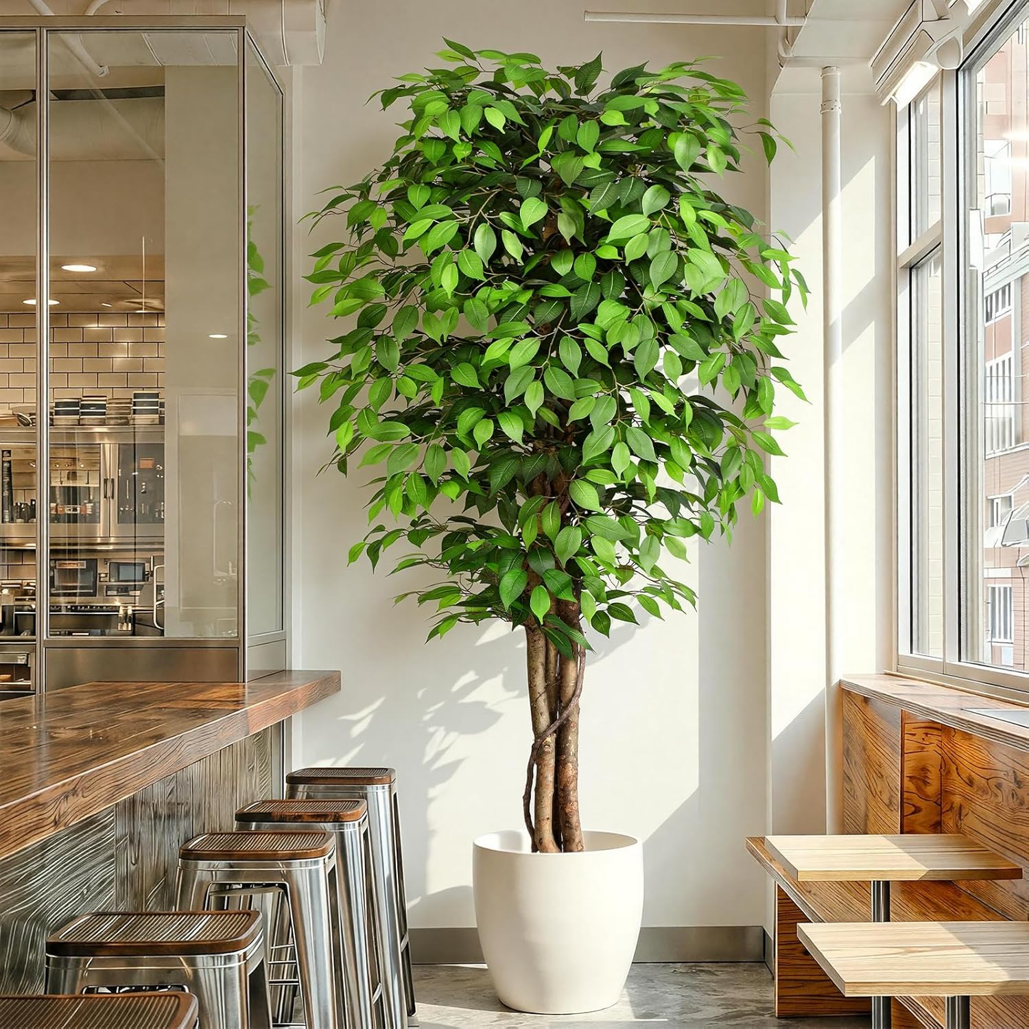 Árvore Ficus Artificial Realis - Monstera Adansonii avaliação e preço