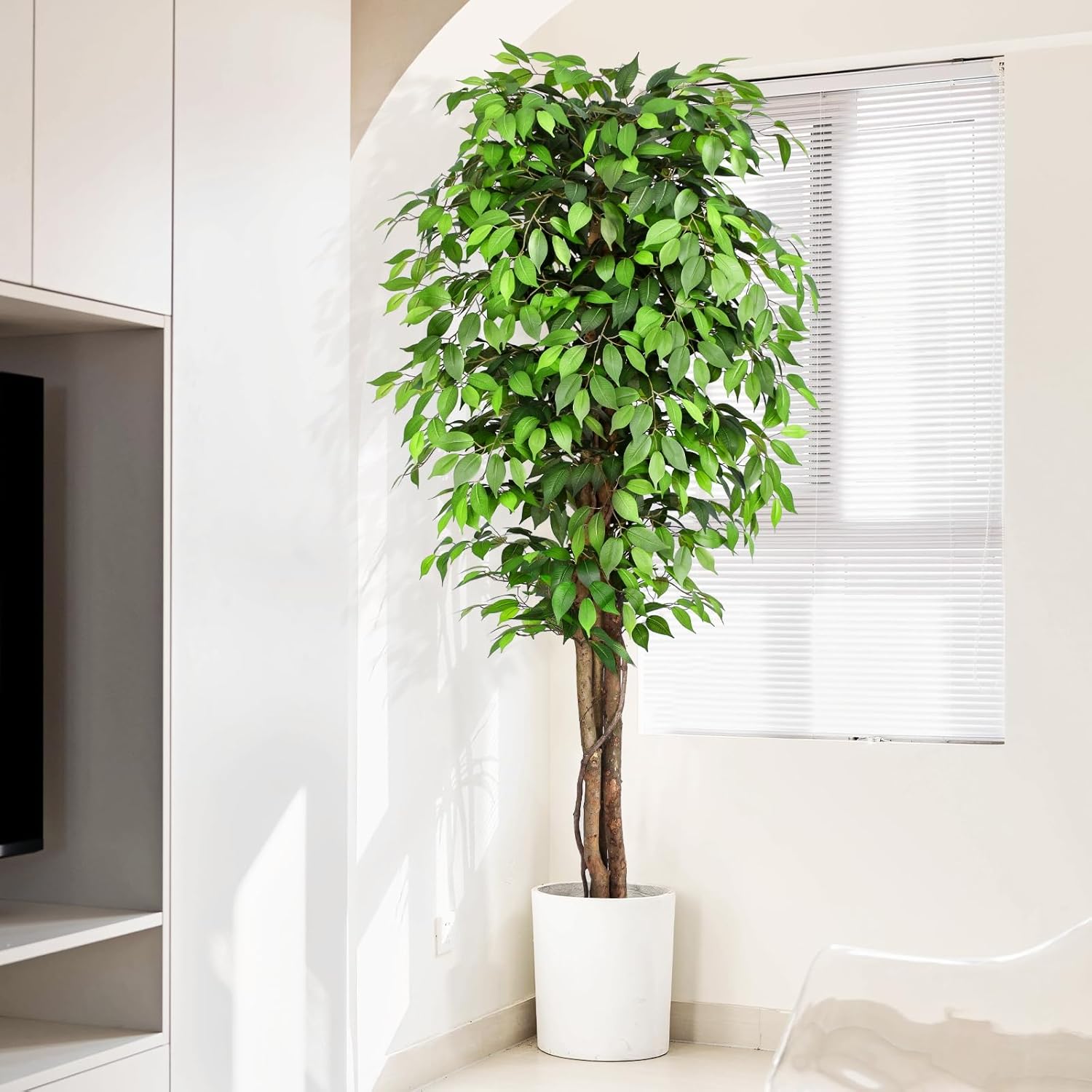 Árvore Ficus Artificial Realis - Monstera Adansonii avaliação e preço