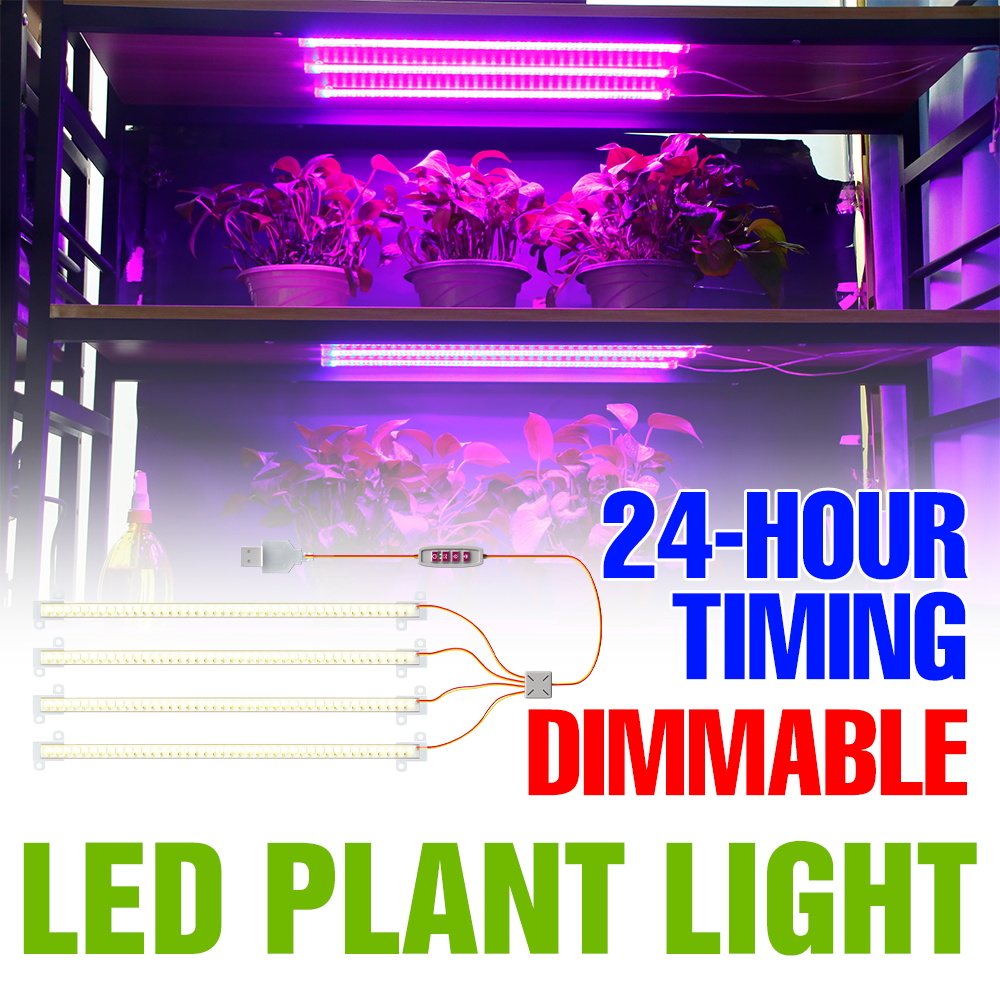 Barra de Luz LED para Plantas  - Echeveria Succulent avaliação e preço