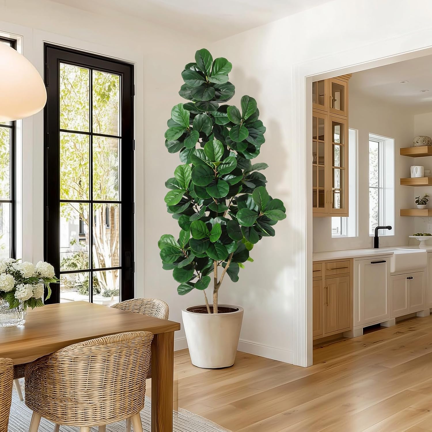 4-7 pés folha de violino figo  - Ficus Lyrata Tree avaliação e preço