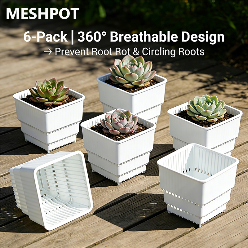 MESHPOT Conjunto de 6 Vasos Qu - Echeveria Succulent avaliação e preço