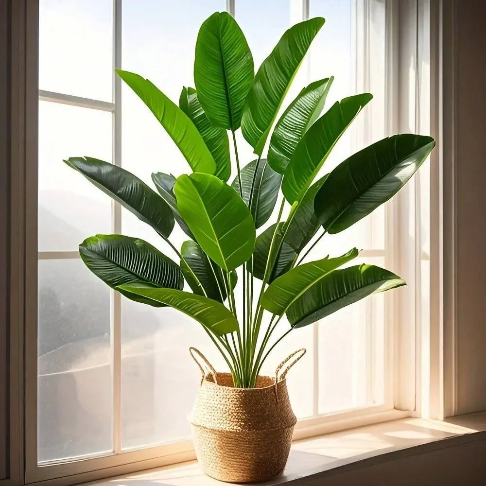 1pc 18 folhas plantas artifici - Monstera Adansonii avaliação e preço