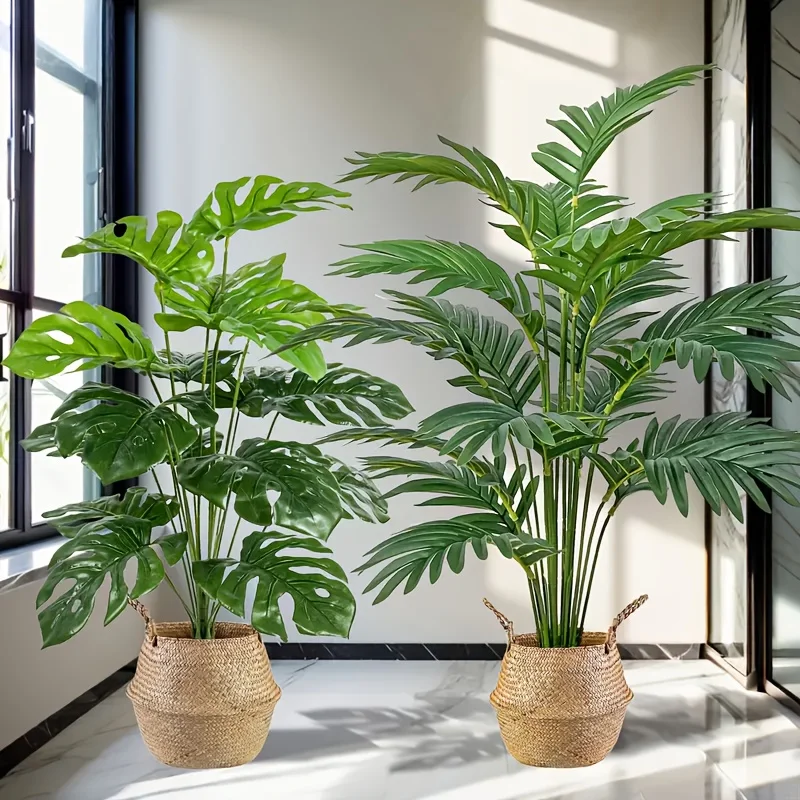 2 pçs verde 24 folhas plantas  - Monstera Adansonii avaliação e preço